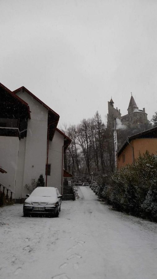 Гостевой дом Casa Krista Бран-13