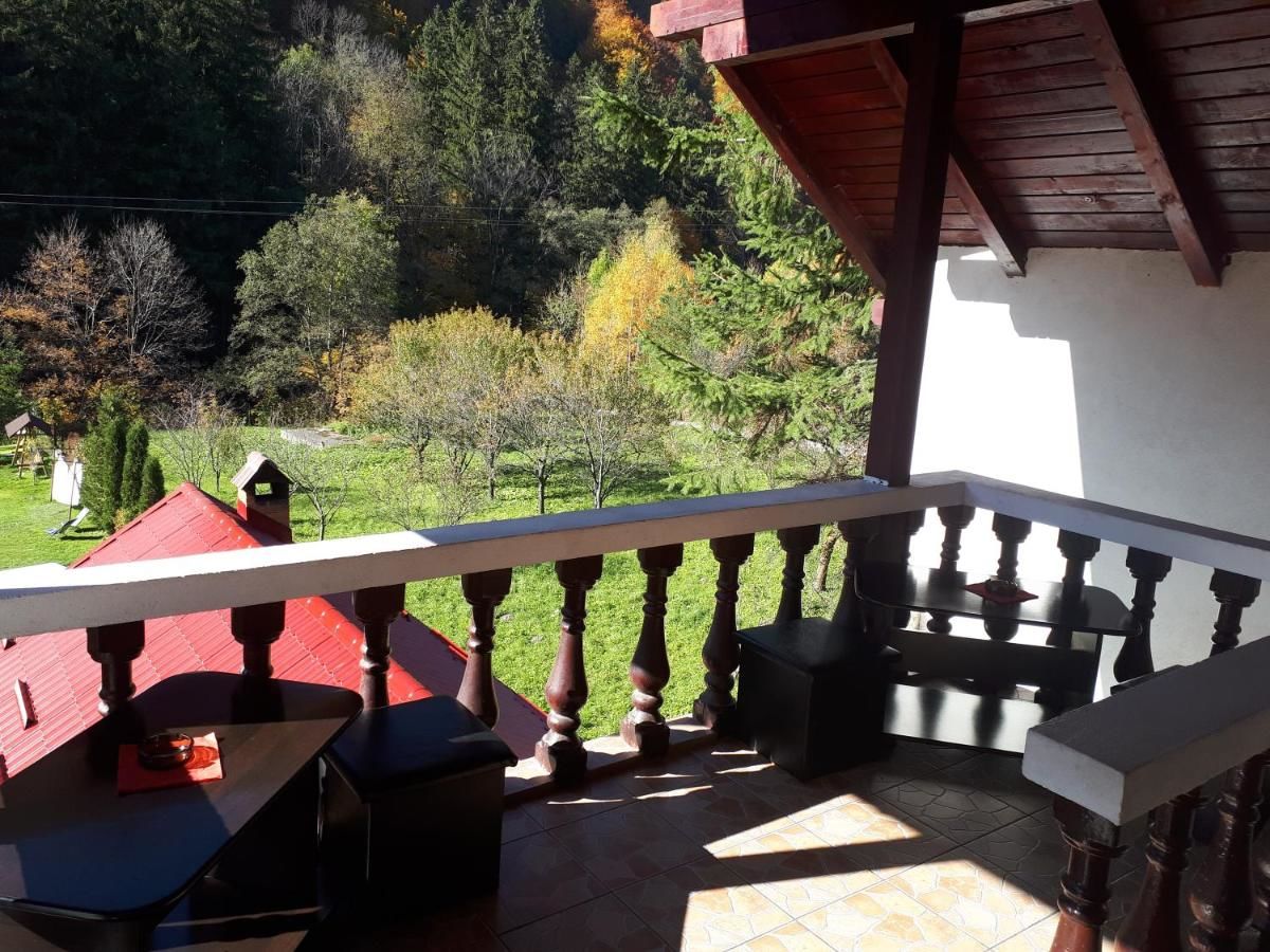 Гостевой дом Casa Krista Бран-28