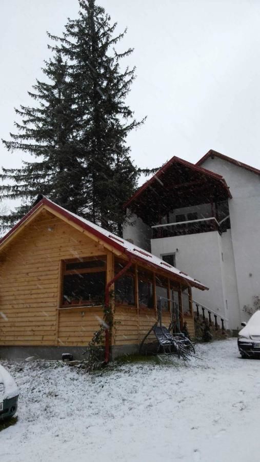 Гостевой дом Casa Krista Бран-42