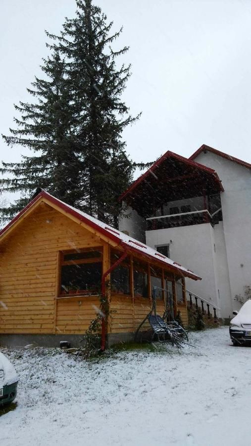 Гостевой дом Casa Krista Бран-8