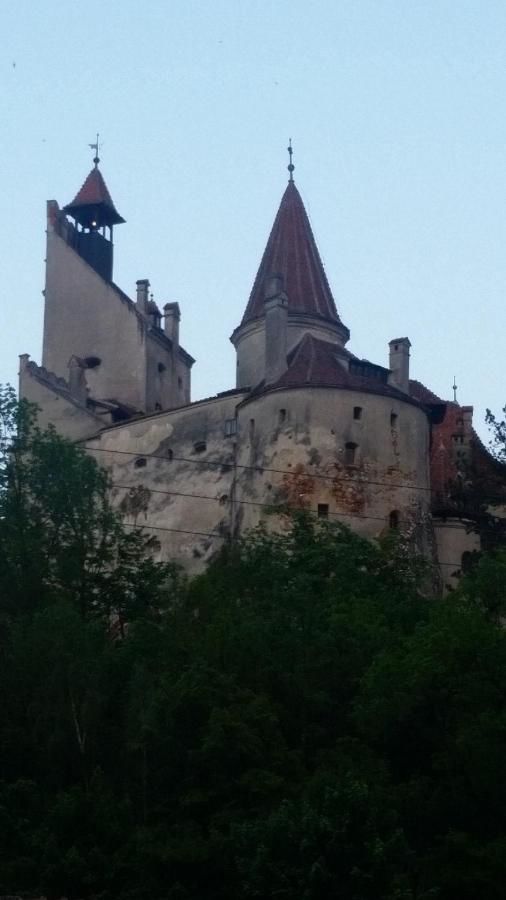 Гостевой дом Casa Krista Бран-9