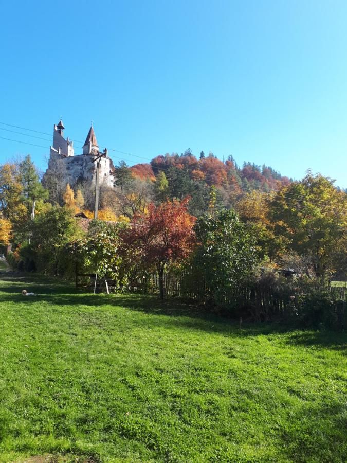 Гостевой дом Casa Krista Бран-10