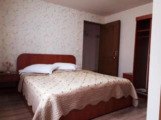 Гостевой дом Casa Krista Бран Номер с кроватью размера «king-size»-10