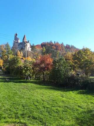 Гостевой дом Casa Krista Бран-6