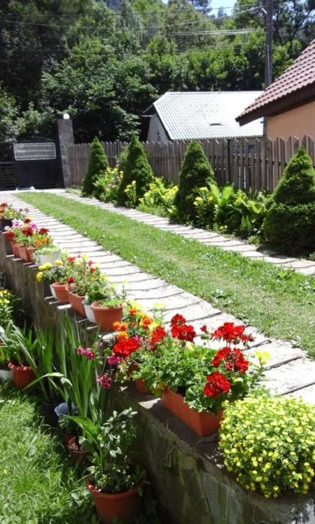 Гостевой дом Casa Krista Бран-37