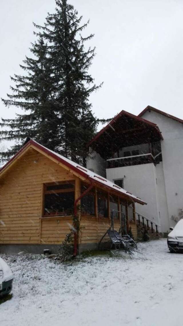 Гостевой дом Casa Krista Бран-41