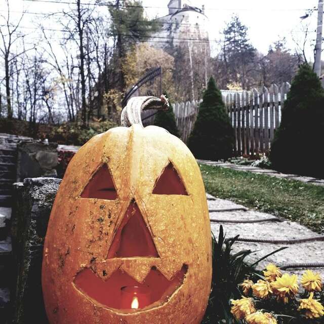 Гостевой дом Casa Krista Бран-6