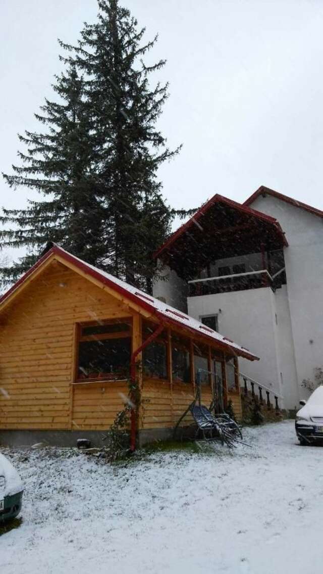 Гостевой дом Casa Krista Бран-7