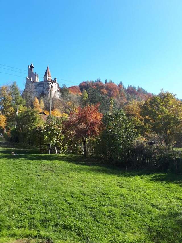 Гостевой дом Casa Krista Бран-9